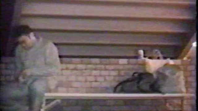 Señorita fernanda videos gay latin divertido