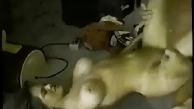 Twistys - Aleska Diamond protagonizada por videospornos latinos Alone At The Resort