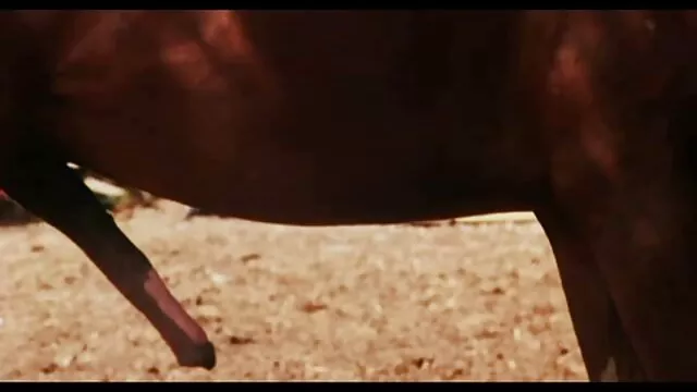 una spagnoletta esagerata da venirsene porno gay audio latino subito